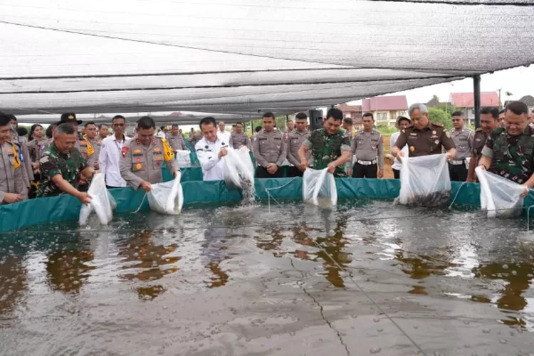 Kapolda Sumut Irjen Pol Whisnu Hermawan, Kajati Sumut Idianto, Kasdam I Bukit Barisan Brigjen TNI Refrizal, Pj Gubernur Sumut Agus Fatoni, Wakapolda Sumut Brigjen Pol Rony Samtana melepas benih ikan lele, Rabu (20/11/2024).