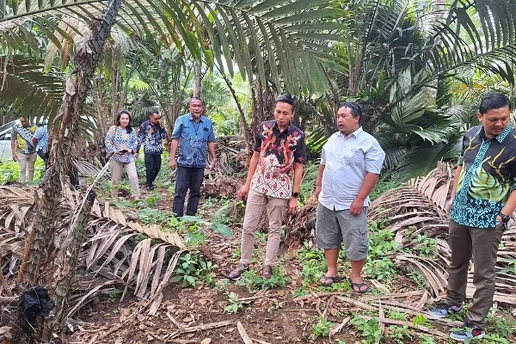 Tim RMBH RO BRI Medan, saat melakukan kunjungan ke kluster Salak Manis di Desa Sigumuru Kecamatan Angkola Barat Kabupaten Tapsel, Rabu (20/11/2024). (Realitasonline.id/Dok)