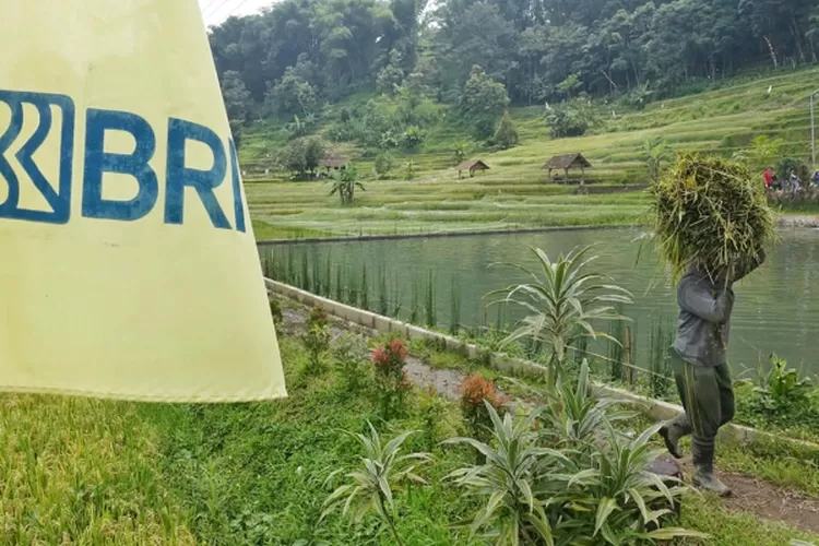 BRI Salurkan KUR Senilai Rp175,66 triliun, Bukti Nyata Implementasi Asta Cita dalam Pemberdayaan Ekonomi Kerakyatan