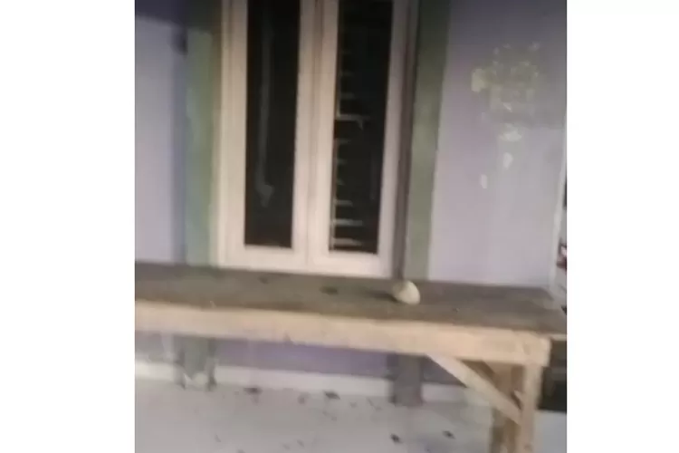 Lanjut Ramlan, pertiwa ini mula terjadi saat ia memviralkan beberapa kali aktivitas terduga bandar narkoba berinisial TN tersebut di TikTok.