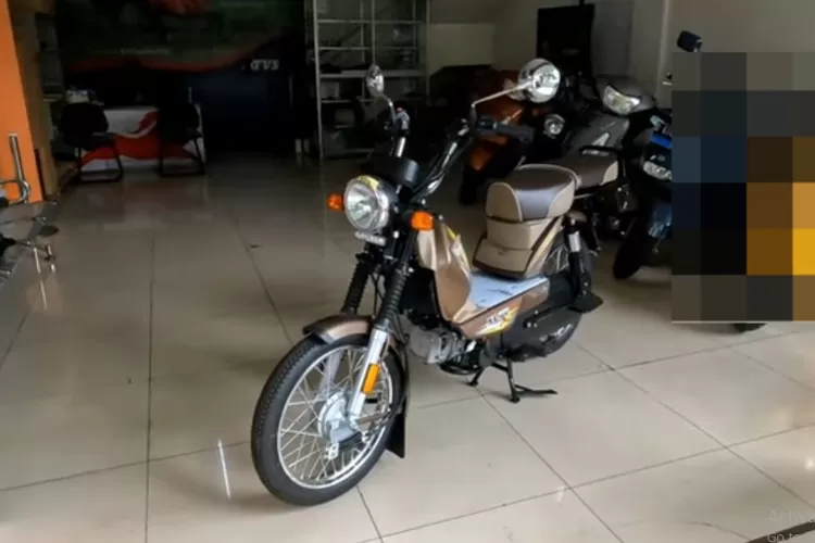 TVS LX 100 hadir sebagai pilihan motor matik fungsional yang dirancang khusus (Tangkapan Layar YouTube Akang Alva)