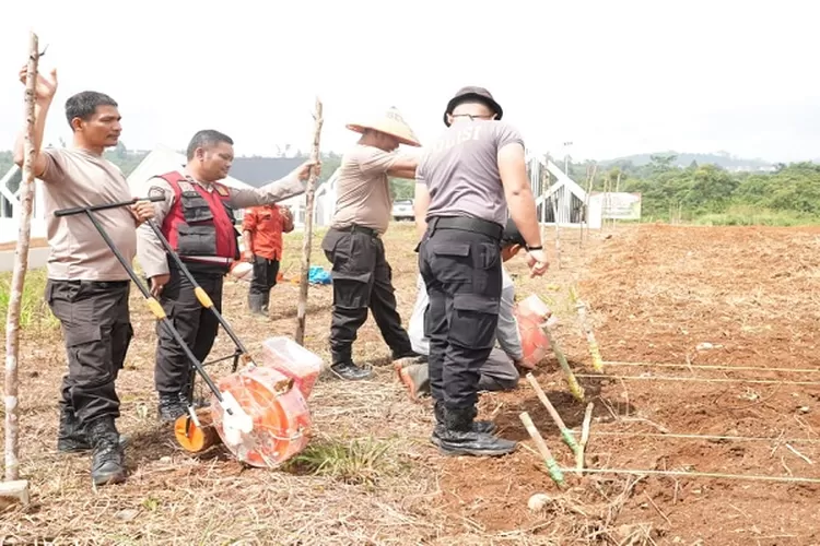 Polres Tapsel melaksanakan lanjutan program penanaman jagung serentak 1 juta hektar, di lahan jagung Astaka milik Polres Tapsel di Desa Tolang ( Realitasonline.id/Riswandy)
