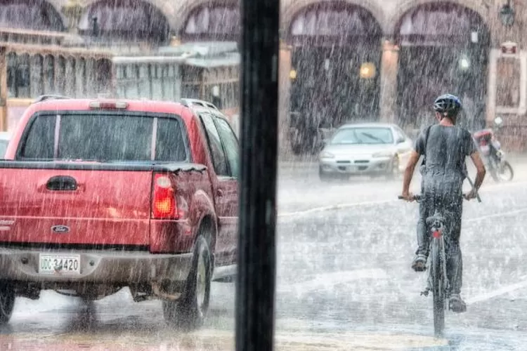 Mobil di Musim Hujan (Realitasonline.id/ Canva)