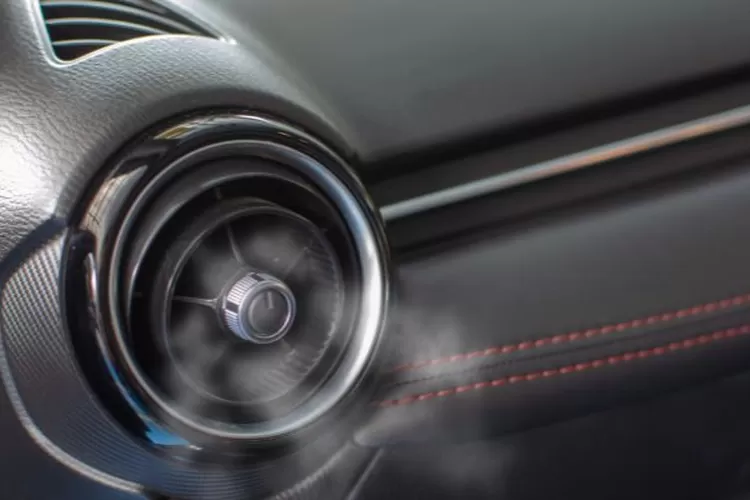 Jok Mobil Berbahan Kulit (Realitasonline.id/ Canva)