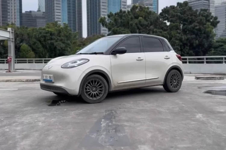 review PUAS GA PUAS setelah 30.000 km pemakaian Wuling Binguo EV (Tangkapan Layar YouTube RodaKemudi)