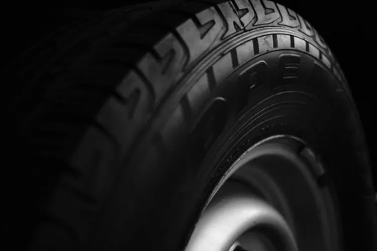 Ban (Realitasonline.id - Unsplash-Nazim Zafri)