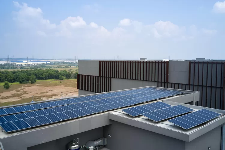 Telkom Pertegas Komitmen Energi Terbarukan di Hari Bumi 2025: Langkah Nyata Menuju Masa Depan Berkelanjutan