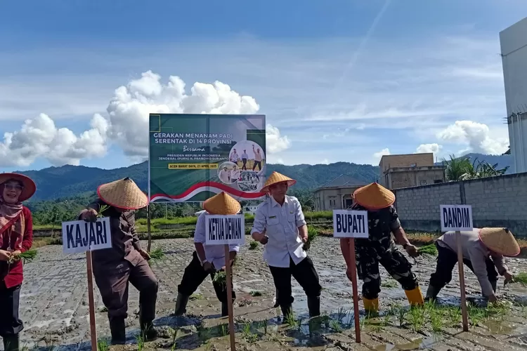 Plt Sekda Abdya Rahwadi mewakili Bupati Abdya Safaruddin, bersama unsur terkait lainnya melakukan tanam perdana di lahan sawah Desa Keude Siblah, Blangpidie yang digelar serentak di 14 Provinsi lainnya, Rabu (23/4/2025) (Realitasonline.id - zal)