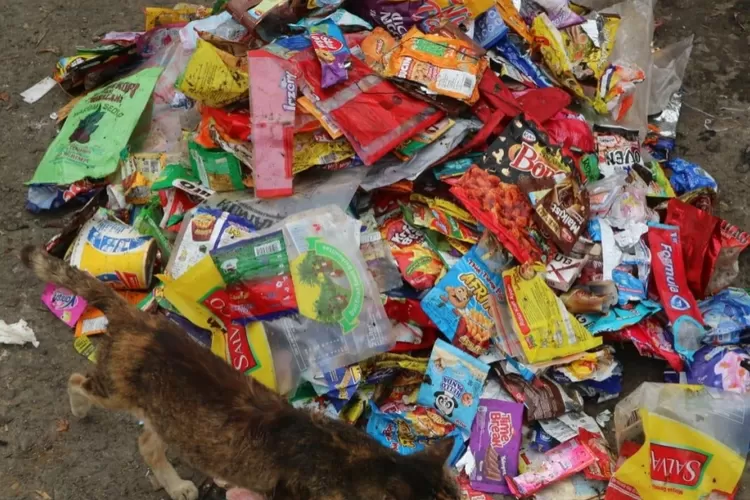 Sampel sampah produk produsen banyak ditemukan di jalanan, bantaran sungai,  rawa-rawa dan sebagainya. (NZWM)