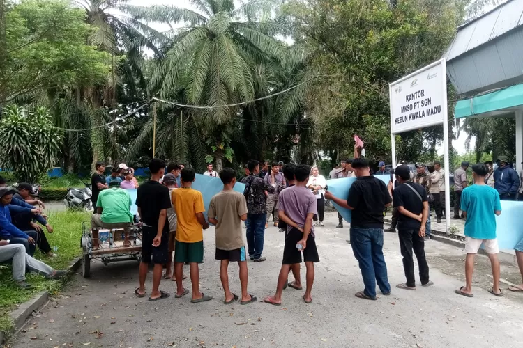 Puluhan warga melakukan aksi damai di depan kantor MKSO kebun Rayon Kuala Madu (Realitasonline.id - MA)