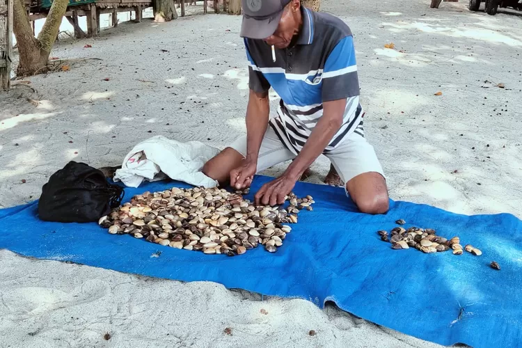 Suhatta pencari kepah di Pantai Sialang Buah.