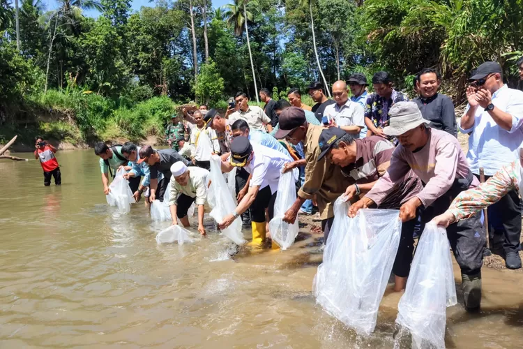 Bipati Tapsel Gus Irawan, saat menabur bibit ikan di kolam Pokdakan Berkah Sitampa Simatoras, Kecamatan Batang Angkola, Kabupaten Tapsel, Kamis (12/6/2025).(Realitasonline.id - RI)