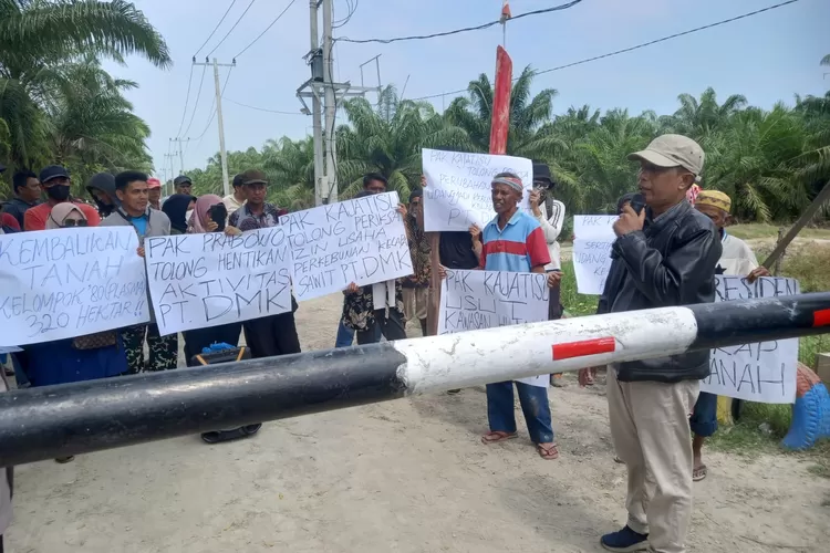 Diduga Ubah Kawasan Hutan Jadi Kebun Kelapa Sawit, Kelompok 80 Minta Presiden Tutup PT DMK
