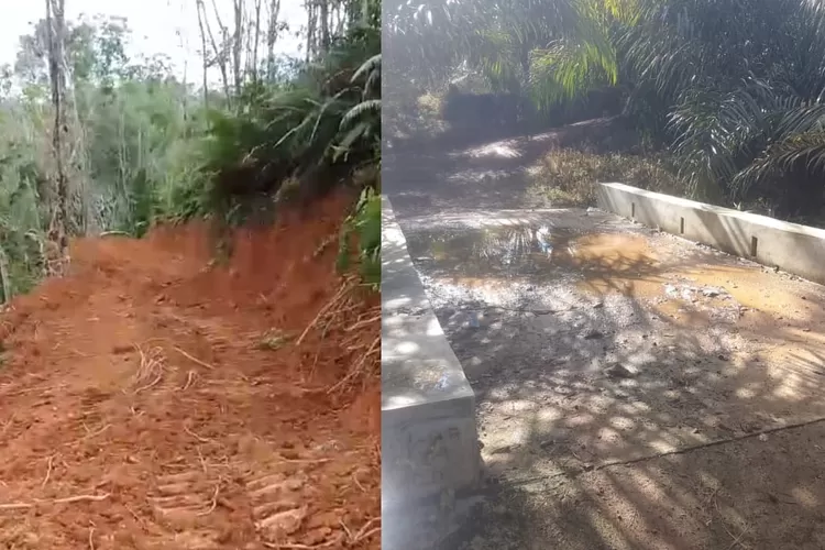 Gambar Jalan Usaha Tani dan Jembatan Desa Dalan Lidang Lingga Bayu TA.2024 hasil Investigasi LSM Tamperak Madina (Realitasonline.id - Istimewa)