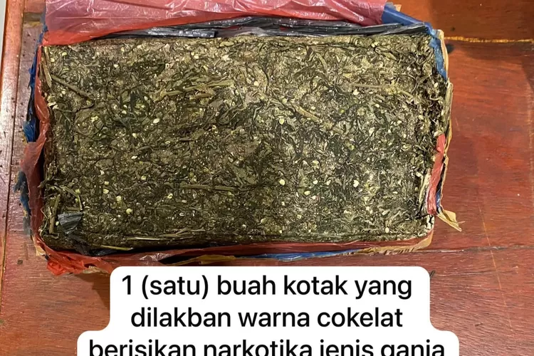 Ganja yang berhasil di sita dari para pelaku penyalahgunaan Narkotika di wilayah hukum Polres Taput(ist).