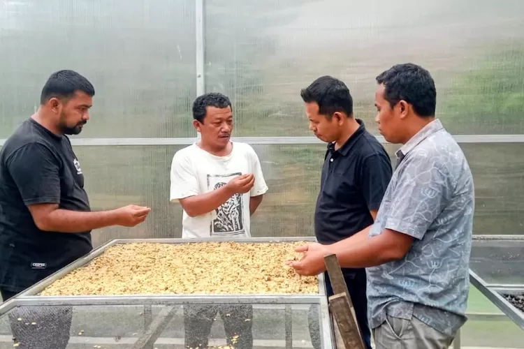 Ketua KADIN Kota Padangsidimpuan Julpan Tambunan bersama Direktur Eksekutif KADIN meninjau pengeringan biji kopi milik Abdul Wahid di Desa Aek Sabaon, Tapsel (Realitasonline.id/Riswandy)
