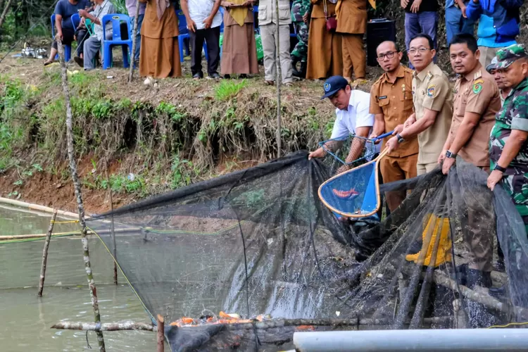 Bupati Tapsel H. Gus Irawan Pasaribu turut hadir pada panen ikan di Desa Pargarutan Julu, Kecamatan Angkola Timur, Kabupaten Tapsel, Senin (29/9/2025). (Foto : Realitasonline / Riswandy)