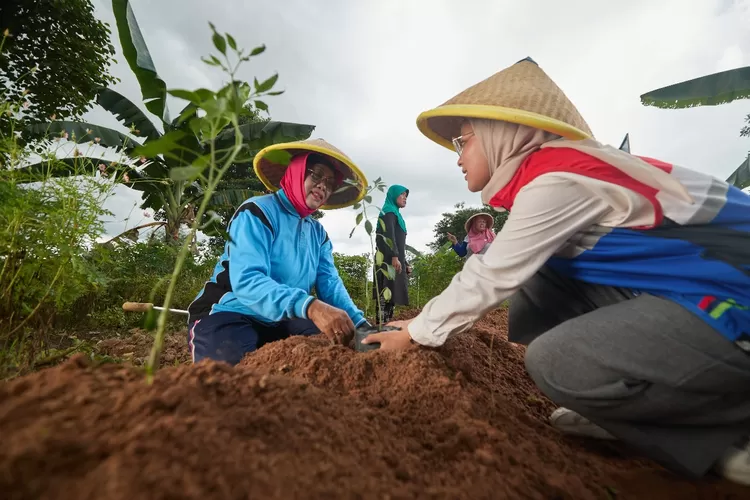 Salah satu program unggulan PGN yang mendapat PROPER Emas adalah Pesona Tani Dewa