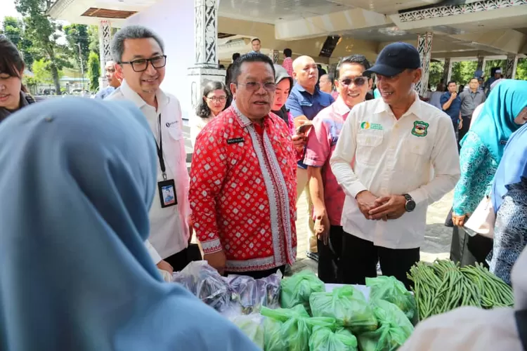 Wesly Silalahi dan Yudha Wirawan tinjau Gerakan Pasar Murah (Realitasonline/RH)