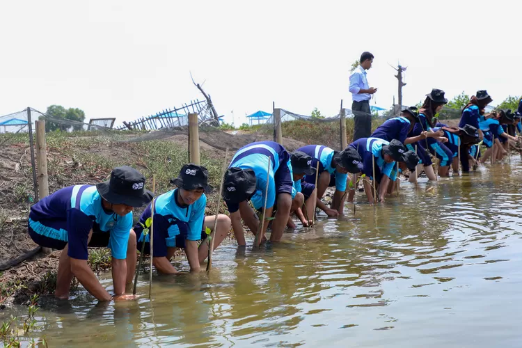 BRI Ajak Generasi Muda Jaga Ekosistem Lingkungan Melalui Penanaman Mangrove dan Pengelolaan Limbah Plastik