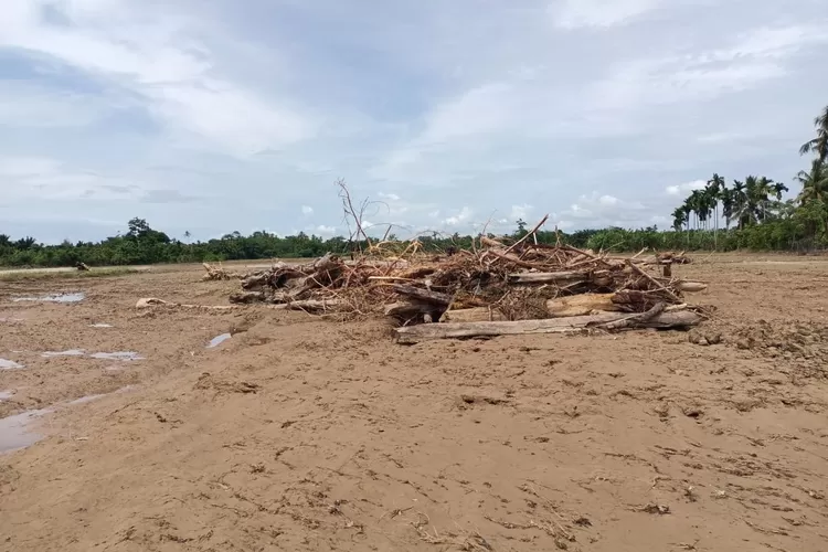 Kondisi areal persawahan milik Kelompok Padang Jati, Gampong Padang Baru, Kecamatan Susoh, Kabupaten Aceh Barat Daya (Abdya) dipenuhi material akibat diterjang banjir luapan sungai Krueng Susoh, pada Minggu malam (9/11/2025) lalu.