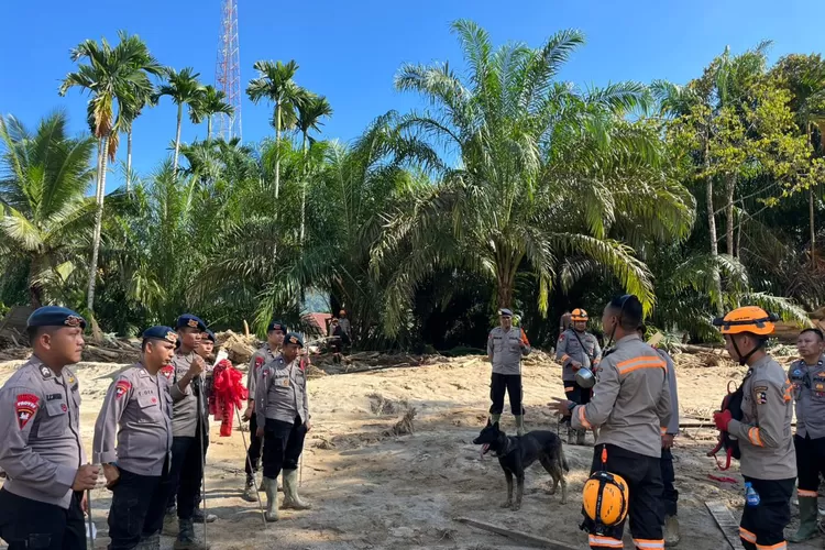 Poldasu Sigap Bersihkan Longsor di Garoga Tapsel. Evakuasi Pasien ke Posko Medis