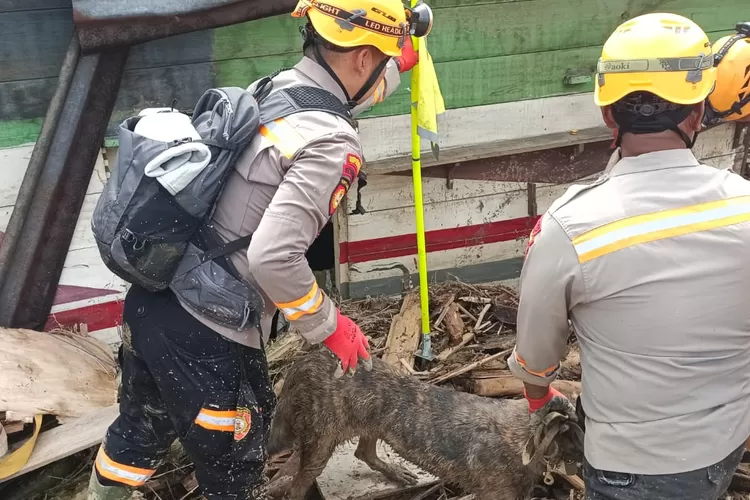Korban Banjir Banding Ditemukan Unit K - 9 Direruntuhan (Realitasonline.id/Dok)