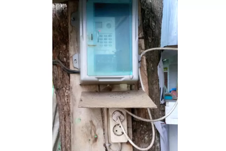 Meteran listrik yang terpasang di pohon pinggir jalan.