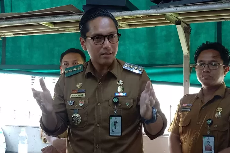 Walikota Medan, Rico Waas