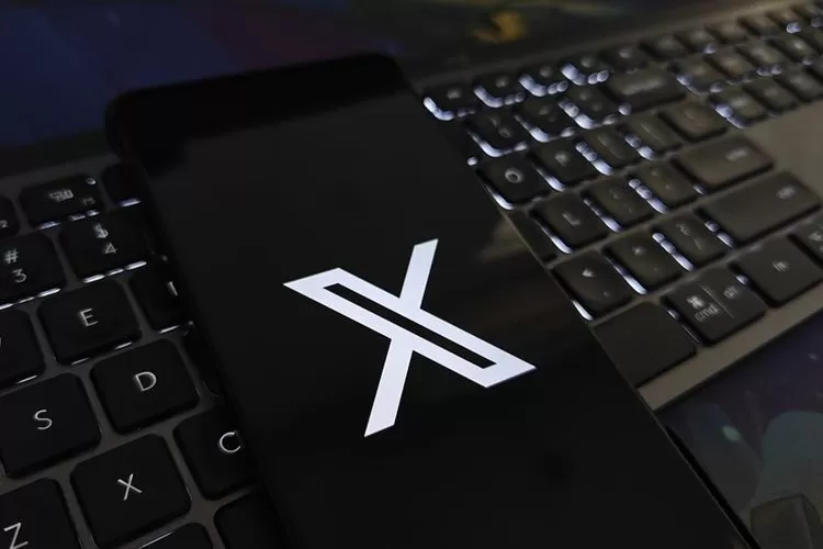 Media sosial X