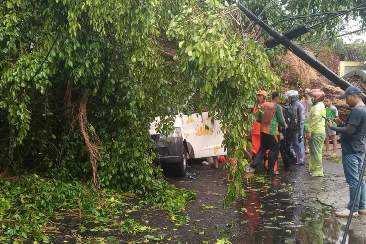 Hujan Badai Di Solo Buat Belasan Pohon Tiduri Jalan Raya Dan Mobil ...