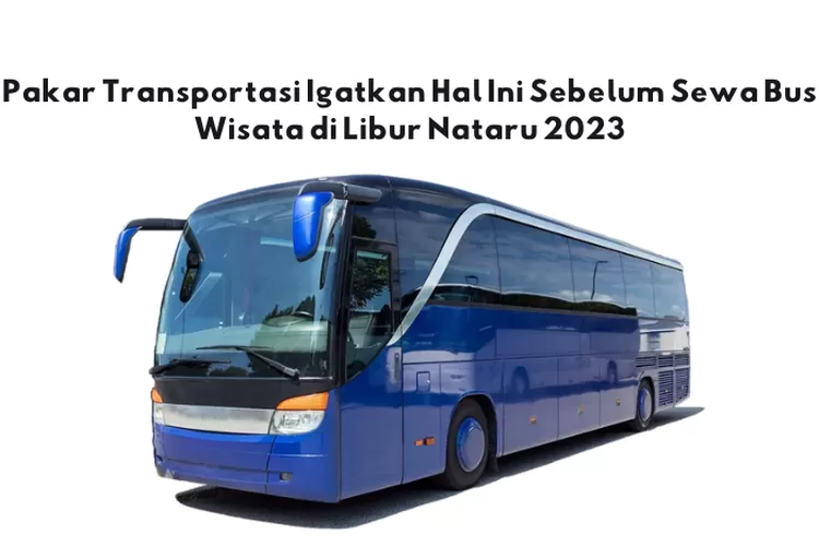 PENTING! Pakar Transportasi Indonesia Igatkan Hal Ini Sebelum Sewa Bus ...