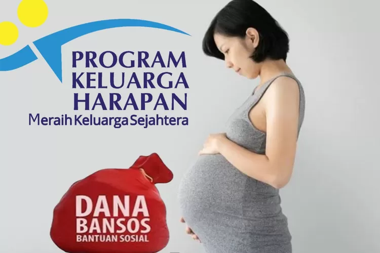 Penuhi Nutrisi Ibu Hamil, Pemerintah Turunkan Bansos Senilai Rp3 Juta ...