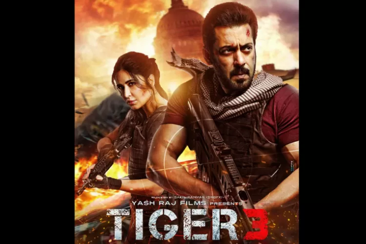 Fakta Unik: Sinopsis Film Tiger 3 Yang Dibintangi Salman Khan - Helly Media