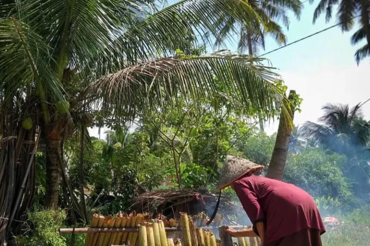 Tradisi Malamang Minangkabau, Lebih dari Sekadar Lemang, Warisan Budaya Ramadan di Padang Pariaman