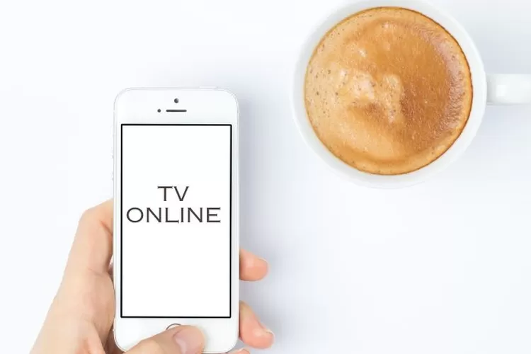 30 Aplikasi Nonton TV Online Terbaik Dengan Channel Beragam di Hp Android dan PC Gratis Terbaru 2023