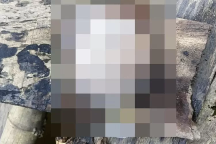 Ada potongan payudara di Surabaya gegerkan warga. (Foto/Istimewa.)