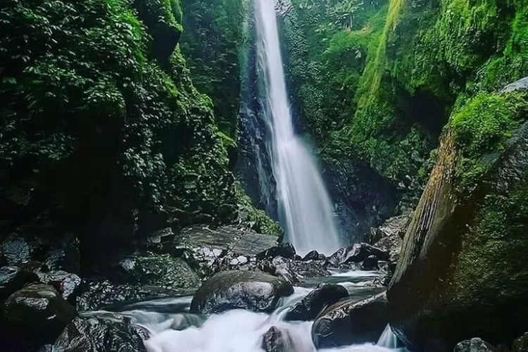 Liburan ke Curug Cantel, Destinasi Wisata Murah di Tegal, HTM Rp 5 Ribu  Bisa Nikmati Keindahan Alam - Radar Update