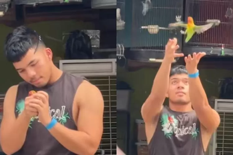 Video Saaih Halilintar Beli Burung Lovebird Langsung Dilepas ke Alam Liar  Jadi Sorotan, Berharap Tuai Pujian Malah Dapat Kritik dari Netizen - Radar  Update