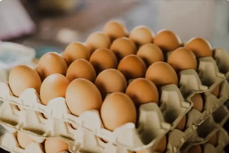 Ilustrasi. Telur digunakan sebagai pengembang kue. (Baking World/ Suara Merdeka Surabaya)