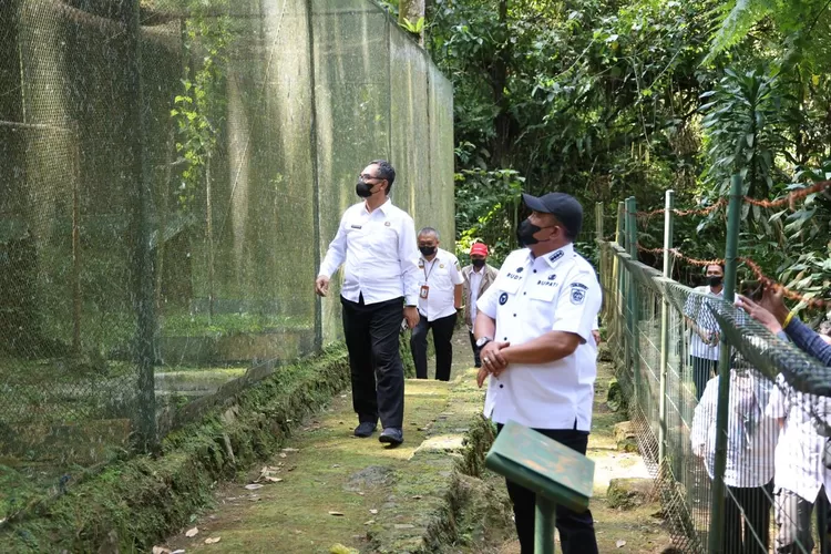 Kunjungan Bupati Bogor Rudy Susmanto ke Suaka Elang Loji, Kecamatan Cigombong, Kabupaten Bogor, Rabu, 27 Agustus 2025. (Diskominfo)