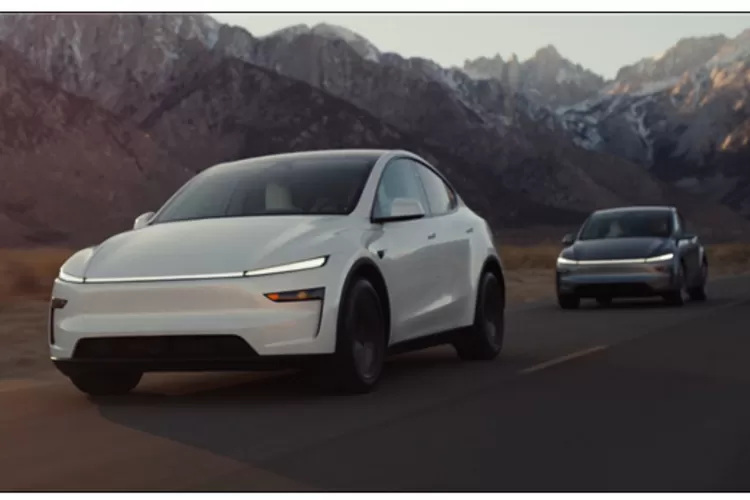 Tesla Model Y Terbaru: Pilihan Tepat untuk Keluarga Modern!