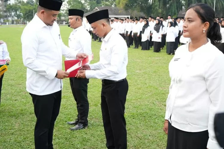 Cuma Buka 608 Formasi Tenaga Guru Di PPPK 2023, Intip Besaran Gaji Yang ...