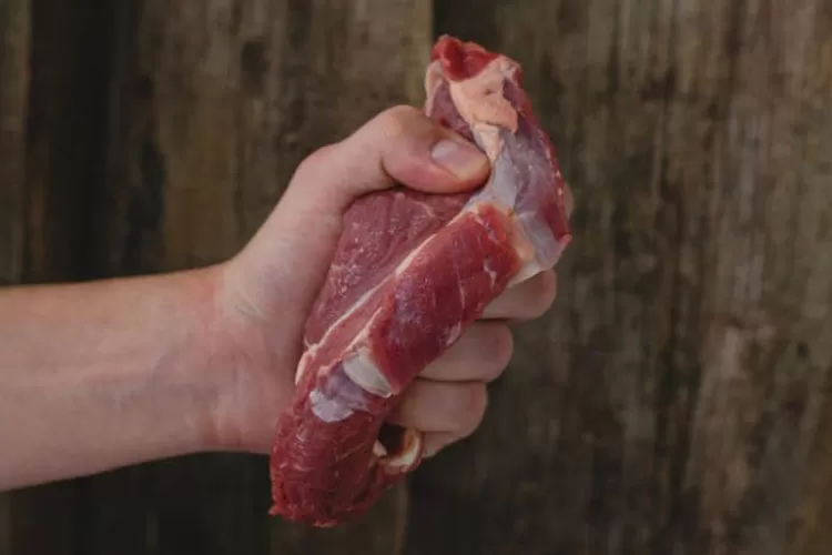 Ide Menu Makanan Daging Sapi dan Kambing yang Didapatkan dari Hewan Kurban (Freepik.com/Racool_studio)