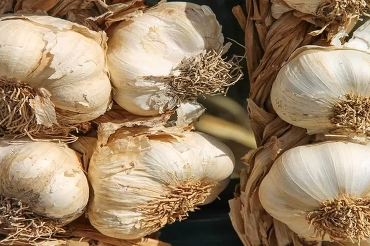 Bawang putih bisa digunakan untuk mengobati kutil di wajah (Pixabay/Manfred richter)