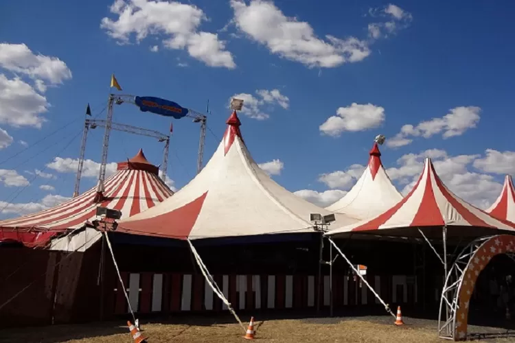 Ilustrasi pemain sirkus Taman Safari alami kekerasan. (Foto: pixabay.com/ckirner)