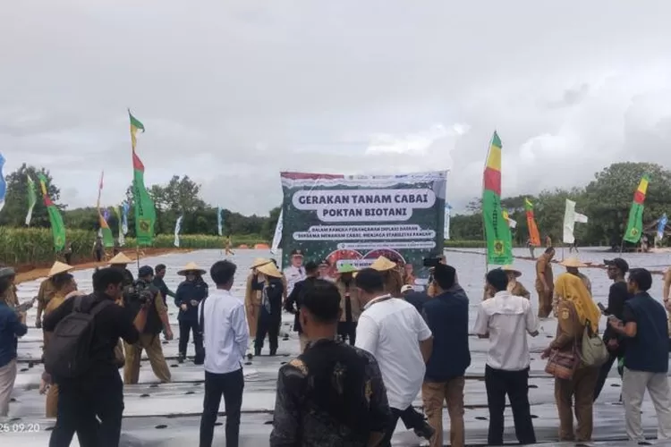Petani dan pejabat mengikuti kegiatan Gerakan Tanam Cabai di Desa Cikopomayak, Jasinga, di tengah keluhan krisis air irigasi. (AG )