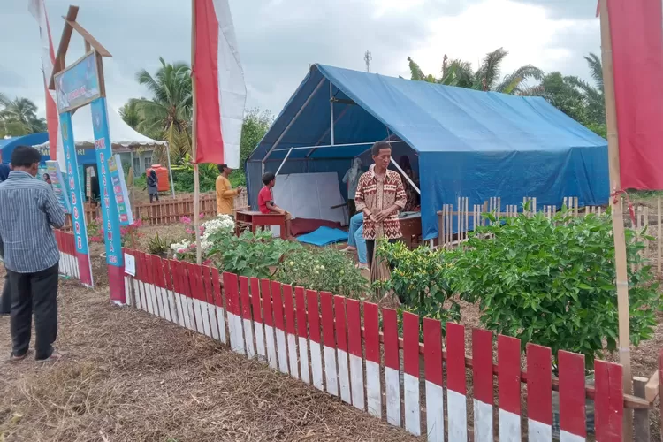 Penyuluh Pertanian Sukamaju Ini Aktif Bantu Ibu-ibu Dasa Wisma Benahi Stand Jambore di Luwu Utara (Foto Istimewa LHR)