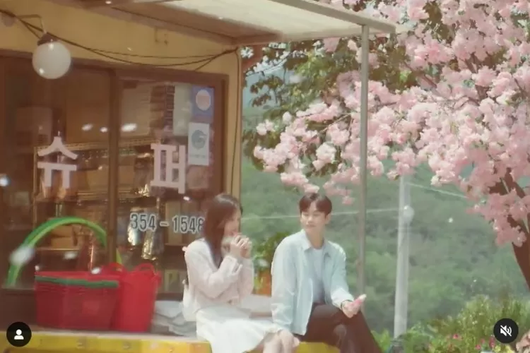 Queen of Tears (instagram TvN drama)