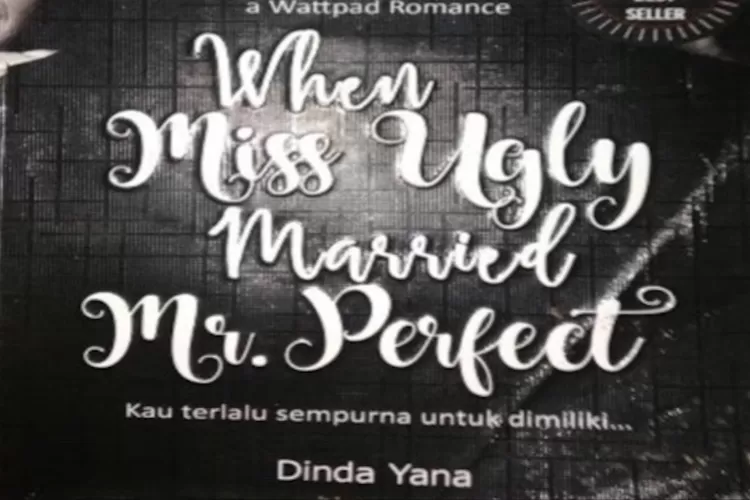 cover novel (dok. pribadi)